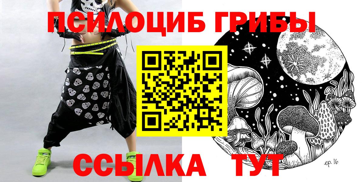Псилоцибиновые грибы Psilocybine cubensis Долгопрудный